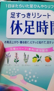 ���엷�s�̎��ɂ��\�������c